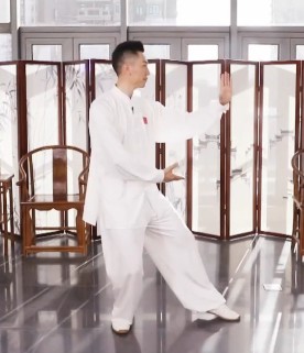 柴云龙24式太极拳