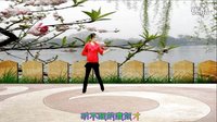 点击观看《优柔广场舞 叫一声二奶奶 编舞：武阿哥 歌手：赵兵&司徒兰芳》