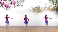 点击观看《英兰花广场舞 瑰花好看刺儿扎人 歌手：天孪兄弟》