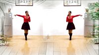 点击观看《玫香广场舞 花儿妹妹 短裙版 演唱：樊芳斌》