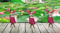 点击观看《汉英广场舞 梦醉荷塘 正面广场舞蹈视频》