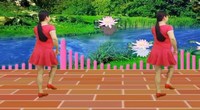 点击观看《蓝天云广场舞 我要去迪拜 附正背面动作分流 教学动作分解口令》