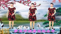 点击观看《高安欣悦广场舞 妈妈 正面动作演示 舞蹈视频大全》