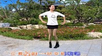 点击观看《安徽百莲广场舞 传递正能量 编舞杨丽萍 正背面演示》