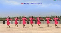 点击观看《花与影广场舞 桃花美桃花开 正面演示》