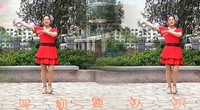 点击观看《鑫儿广场舞 假如你要认识我 正反面演示》
