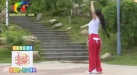 点击观看《杨丽萍广场舞 dj妹妹不哭 附正背面分解教学 动感时尚现代舞教学》