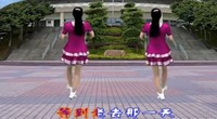 点击观看《游城广场舞 一生有你 附正背面演示 口令分解教学 经典校园民谣歌曲广场舞视频教学》