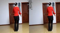 点击观看《锦上添花广场舞 对爱 中老年广场舞视频》