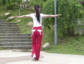 点击观看《杨丽萍广场舞 妹妹不哭 减肥瘦身塑身舞》