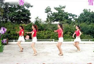 点击观看《玫香广场舞 哥是农民工 接地气韵律健身操》