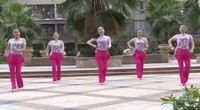 点击观看《杨丽萍广场舞 前世今生的轮回 正反面附口令分解教学》