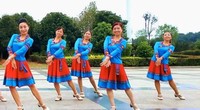 点击观看《北京艺莞儿广场舞  绑金麦朵 美女大姐欢快健身舞附分解动作教学》
