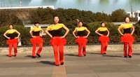 点击观看《茉莉广场舞 兄弟闯天下 动感活力健身操正面演示》
