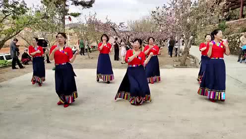 一种中年妇女在桃花林里跳广场舞视频