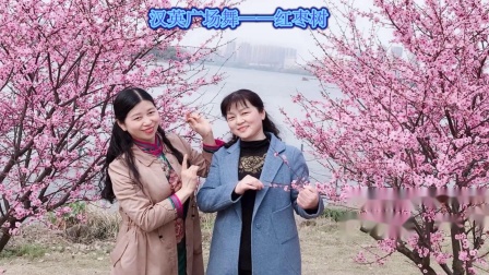 点击观看《汉英广场舞《红枣树》重庆非常火的广场舞视频展示》