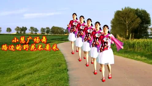 点击观看《小慧广场舞《路边的野花不要采》附教学分解》