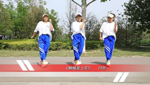 点击观看《广场鬼步舞24步教学 蝴蝶爱上花简单大方曳步舞教程》