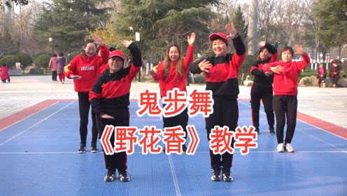 点击观看《最新鬼步舞视频教程 郭丽分解舞蹈野花香》
