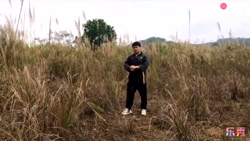 点击观看《实战武术知识点讲解 节奏 距离 抗击打常识》